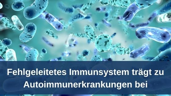 Fehlgeleitetes Immunsystem trägt zu Autoimmunerkrankungen bei