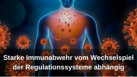 Starke Immunabwehr vom Wechselspiel der Regulationssysteme abhängig