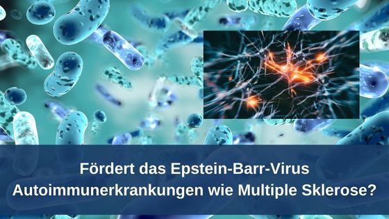 Fördert das Epstein-Barr-Virus Autoimmunerkrankungen wie Multiple Sklerose