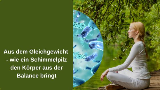 Aus dem Gleichgewicht - wie ein Schimmelpilz den Körper aus der Balance bringt