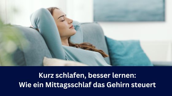 Kurz schlafen, besser lernen: Wie ein Mittagsschlaf das Gehirn neu startet