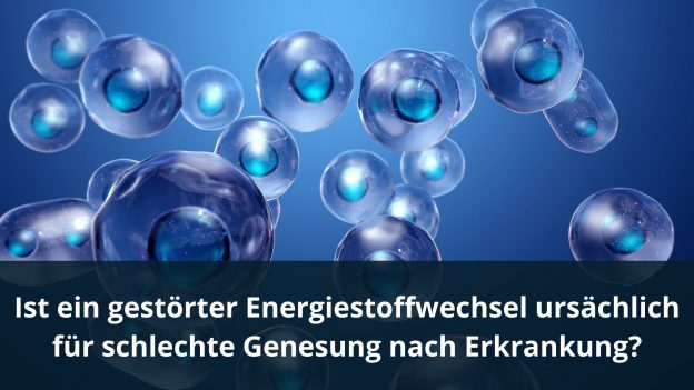 Ist ein gestörter Energiestoffwechsel ursächlich für schlechte Genesung nach Erkrankung