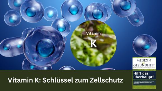Vitamin K: Schlüssel zum Zellschutz