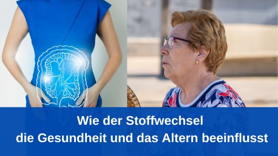 Wie der Stoffwechsel die Gesundheit und das Altern beeinflusst