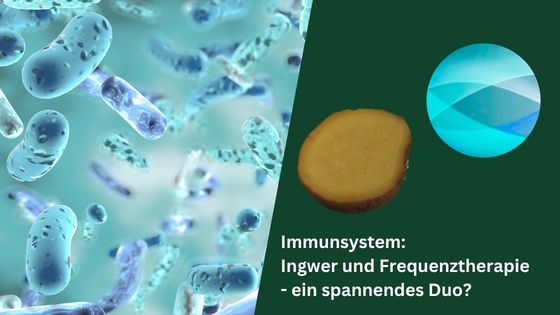 Immunsystem: Ingwer und Frequenztherapie – ein spannendes Duo